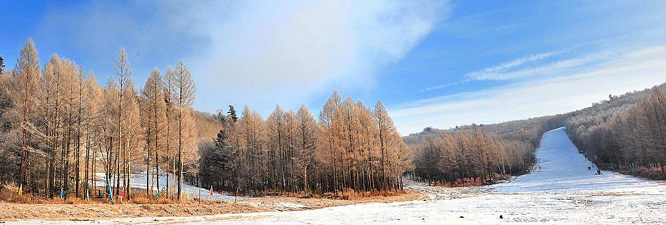 官方微信自助客服